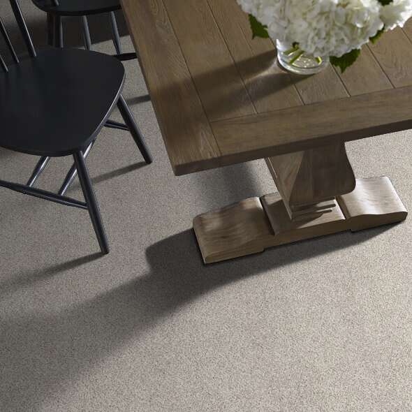 Colorwall - Find your comfort I -Accent - Carpet Shaw Floors