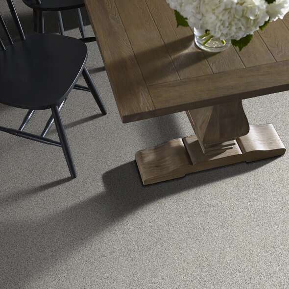Colorwall - Find your comfort I -Accent - Carpet Shaw Floors