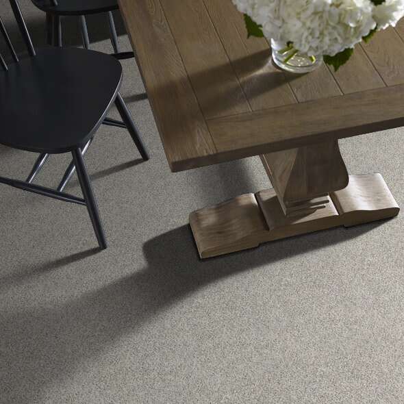 Colorwall - Find your comfort I -Accent - Carpet Shaw Floors