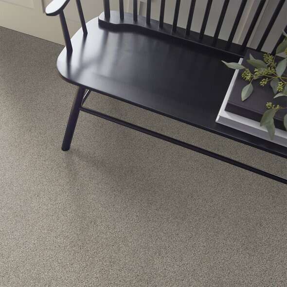 Caress - Angora Classic III - Carpet Shaw Floors