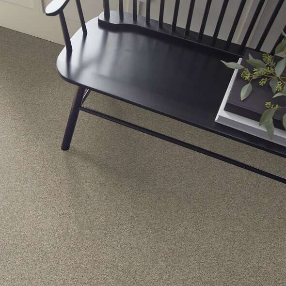 Caress - Angora Classic II - Carpet Shaw Floors