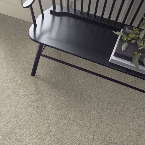 Colorwall - Find your comfort I -Accent - Carpet Shaw Floors