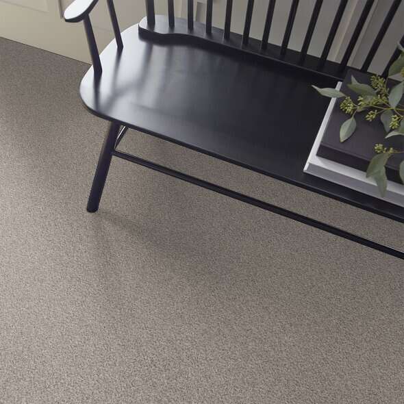 Colorwall - Find your comfort II -Accent - Carpet Shaw Floors