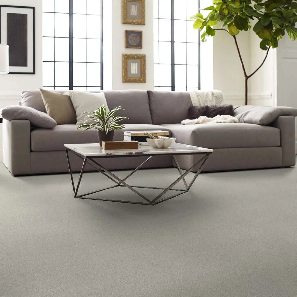 Colorwall - Tonal Comfort II - Carpet Shaw Floors
