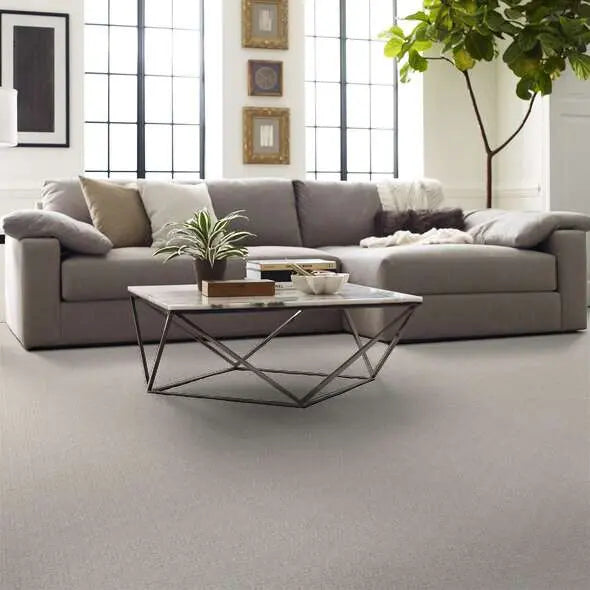 Caress - Zenhaven - Carpet Shaw Floors