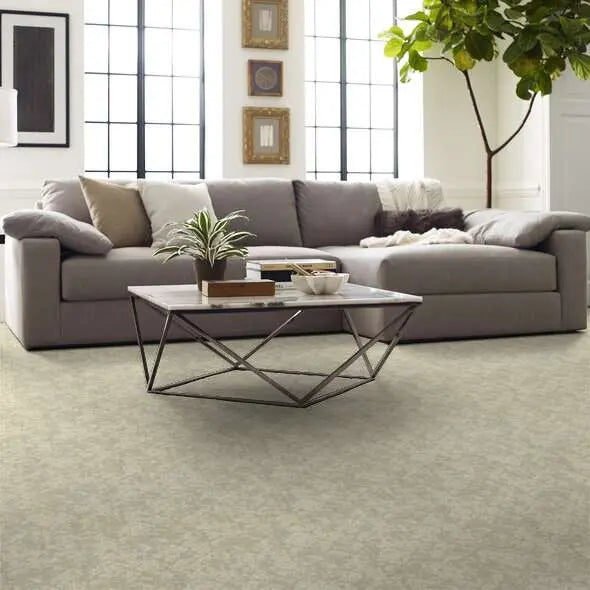 Caress - Free Spirit - Carpet Shaw Floors