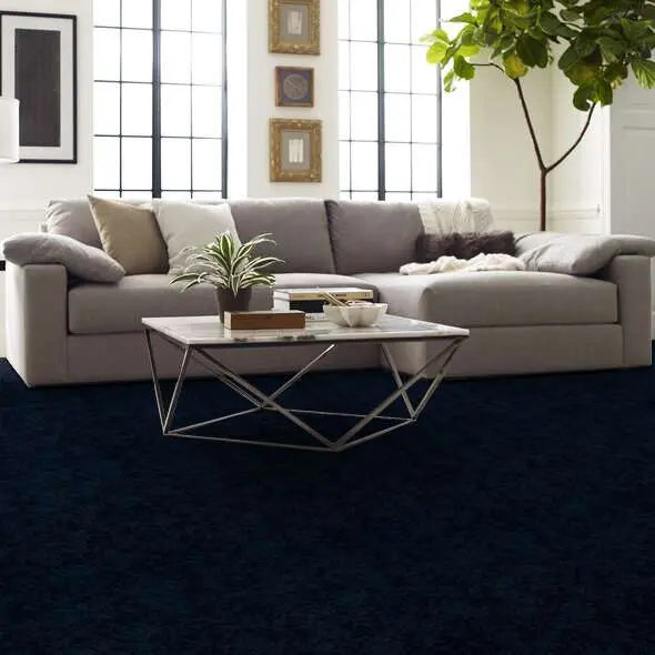 Caress - Free Spirit - Carpet Shaw Floors