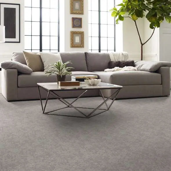 Caress - Free Spirit - Carpet Shaw Floors