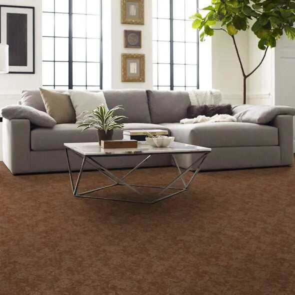 Caress - Free Spirit - Carpet Shaw Floors