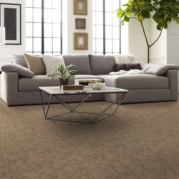 Caress - Free Spirit - Carpet Shaw Floors