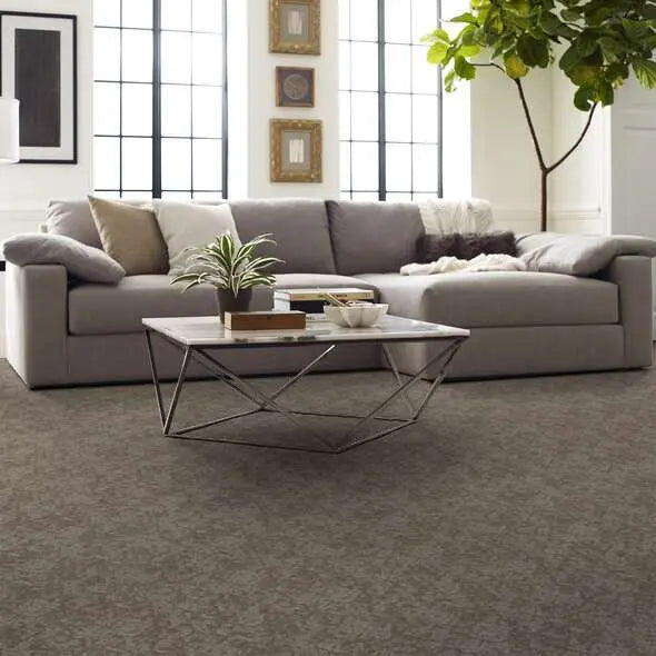 Caress - Free Spirit - Carpet Shaw Floors