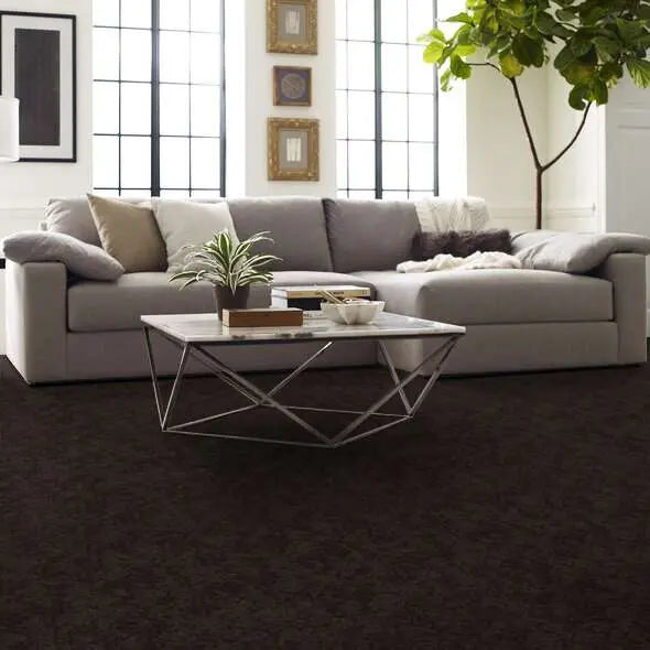 Caress - Free Spirit - Carpet Shaw Floors