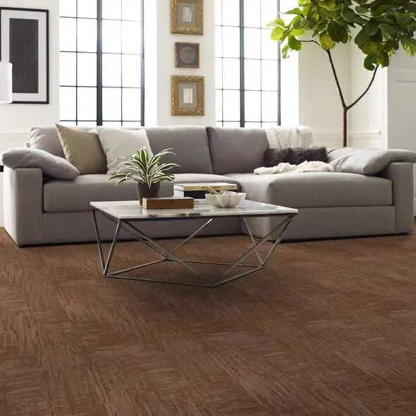 Caress - Insightful Journey - Carpet Shaw Floors