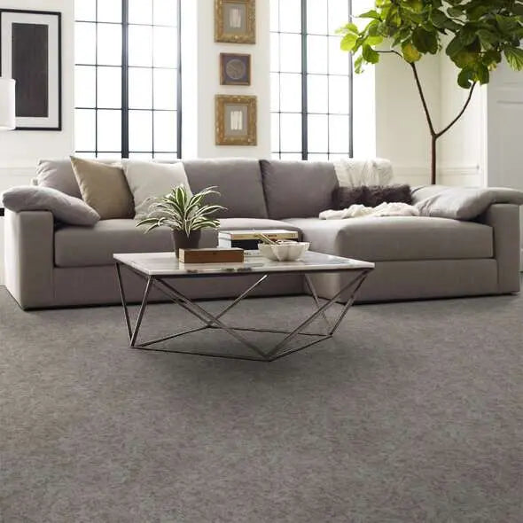 Caress - State Of Mind - Carpet Shaw Floors