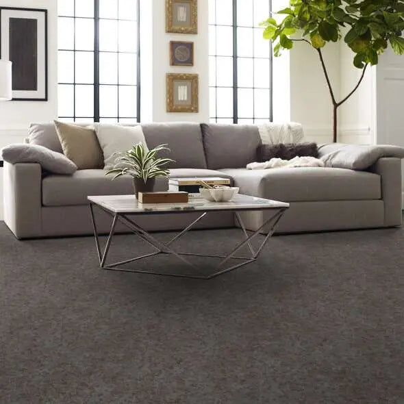 Caress - State Of Mind - Carpet Shaw Floors