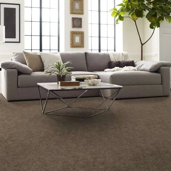 Caress - State Of Mind - Carpet Shaw Floors