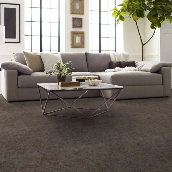 Caress - State Of Mind - Carpet Shaw Floors