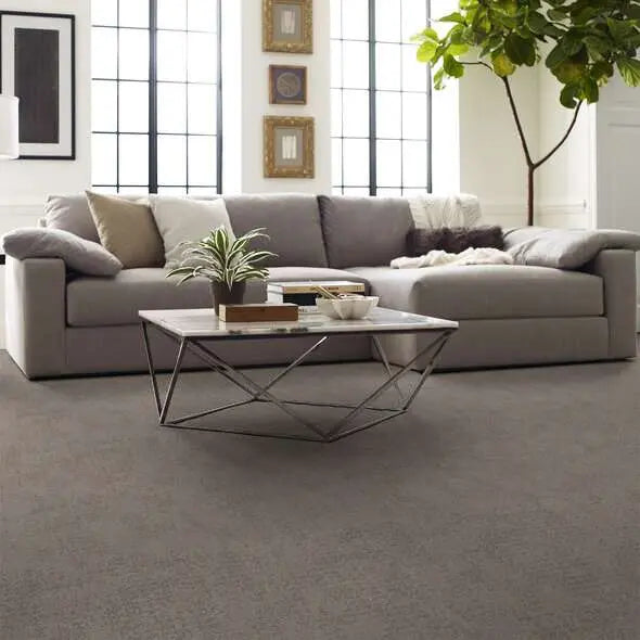 Caress - Artistic Presence - Carpet Shaw Floors