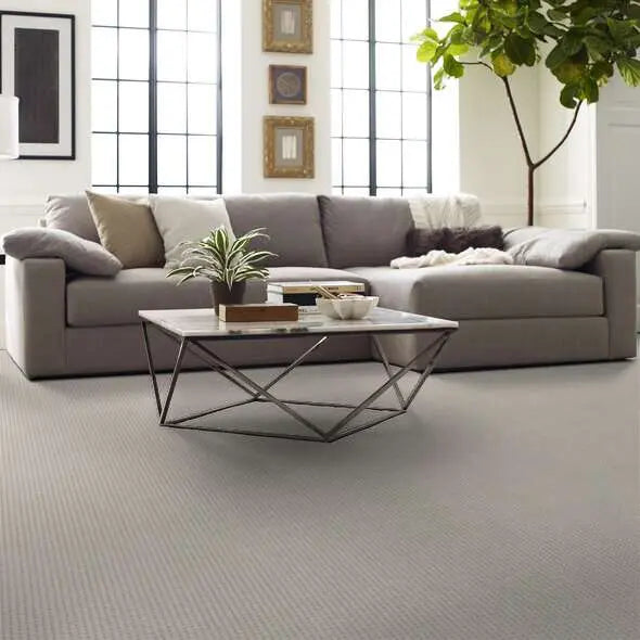 Caress - Soft Symmetry - Carpet Shaw Floors