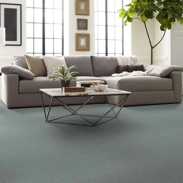 Caress - Soft Symmetry - Carpet Shaw Floors