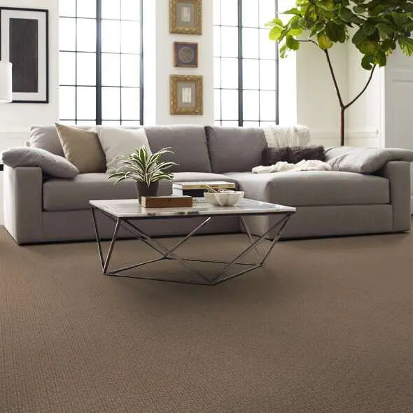 Caress - Serene Key - Carpet Shaw Floors