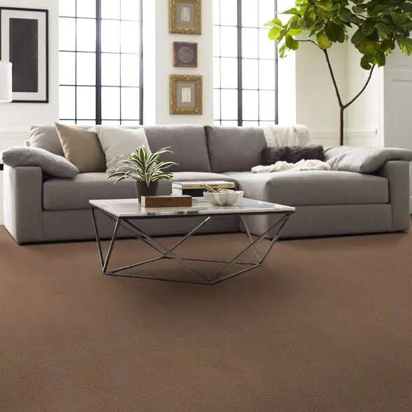 Caress - Lavish Living - Carpet Shaw Floors