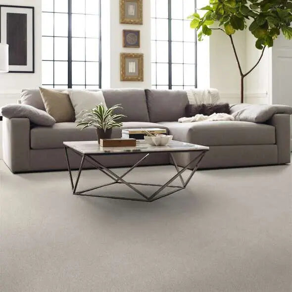 Caress - Cozy Harbor I - Carpet Shaw Floors