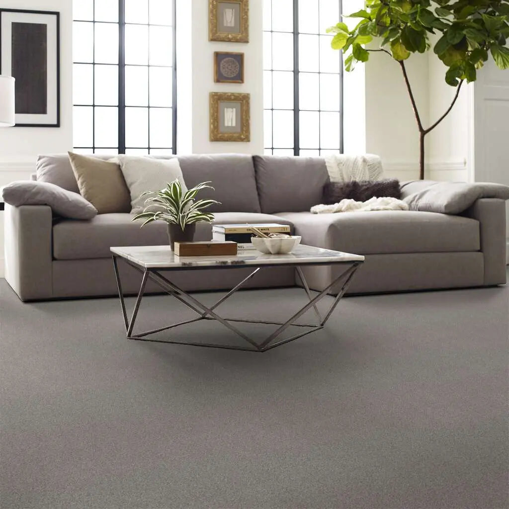 Caress - Cozy Harbor I - Carpet Shaw Floors