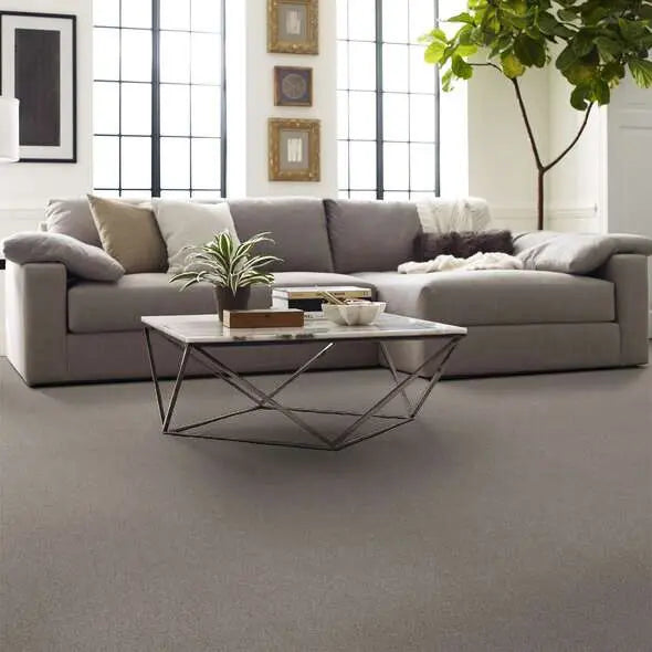 Caress - Cozy Harbor I - Carpet Shaw Floors