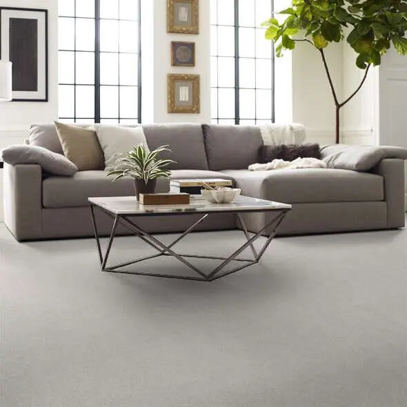 Caress - Cozy Harbor I - Carpet Shaw Floors