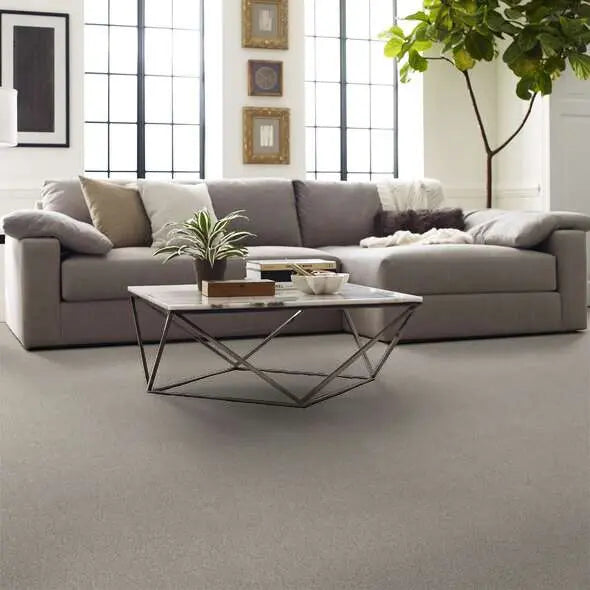 Caress - Cozy Harbor I - Carpet Shaw Floors
