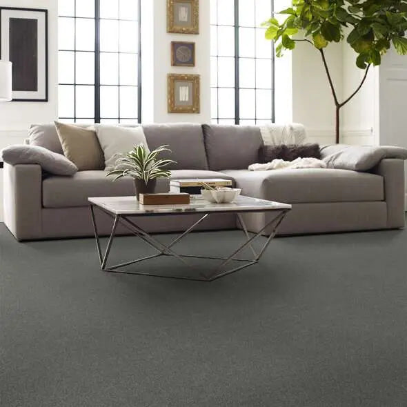 Caress - Cozy Harbor I - Carpet Shaw Floors