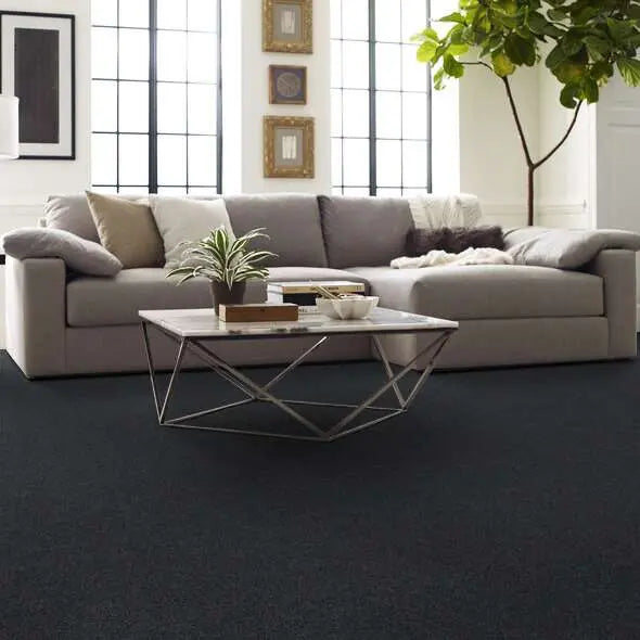 Caress - Cozy Harbor I - Carpet Shaw Floors