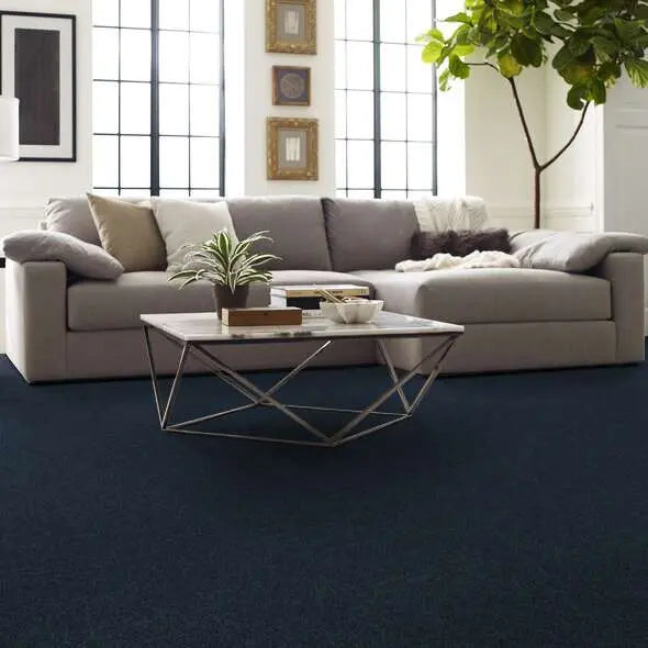 Caress - Cozy Harbor II - Carpet Shaw Floors