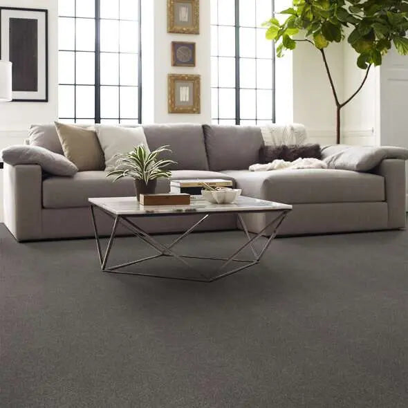 Caress - Cozy Harbor I - Carpet Shaw Floors