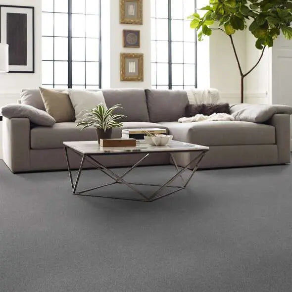 Caress - Cozy Harbor I - Carpet Shaw Floors