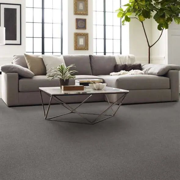 Caress - Cozy Harbor I - Carpet Shaw Floors