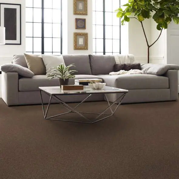Caress - Cozy Harbor I - Carpet Shaw Floors