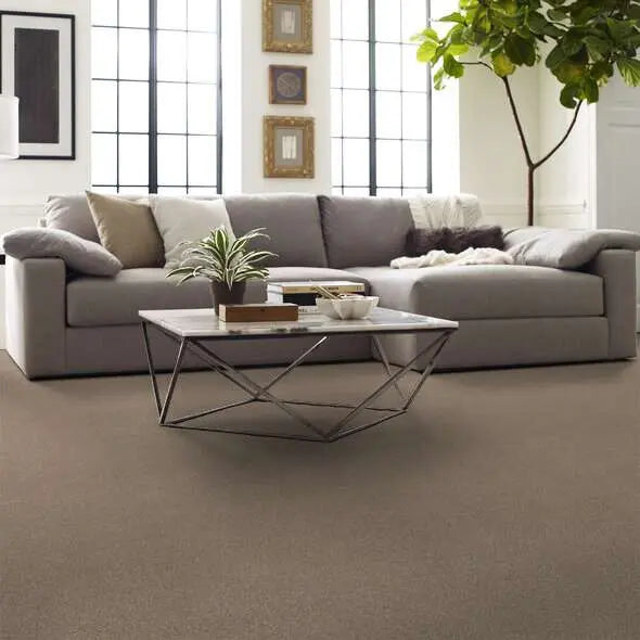 Caress - Cozy Harbor I - Carpet Shaw Floors