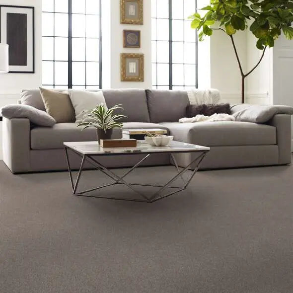 Caress - Cozy Harbor I - Carpet Shaw Floors