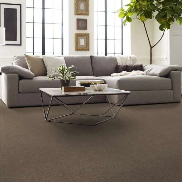 Caress - Cozy Harbor I - Carpet Shaw Floors