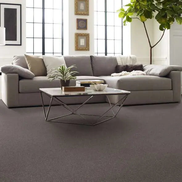 Caress - Cozy Harbor I - Carpet Shaw Floors