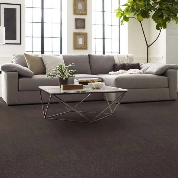 Caress - Cozy Harbor I - Carpet Shaw Floors