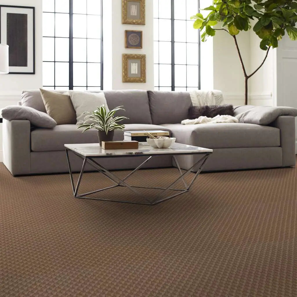 Caress - Inspried Design - Carpet Shaw Floors