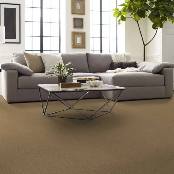 Caress - Cashmere IV - Carpet Shaw Floors