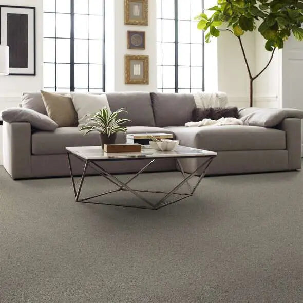 Caress - Angora Classic I - Carpet Shaw Floors