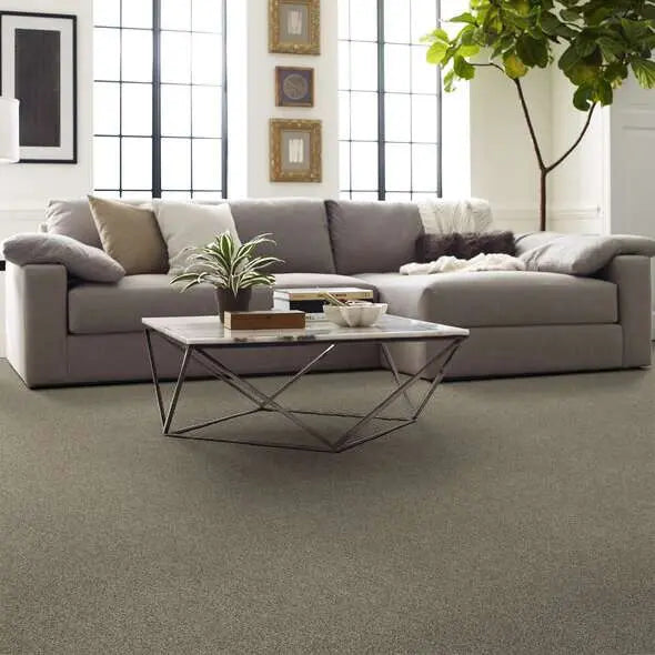 Caress - Angora Classic I - Carpet Shaw Floors
