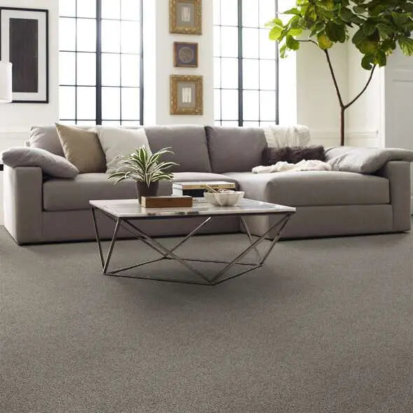Caress - Angora Classic II - Carpet Shaw Floors
