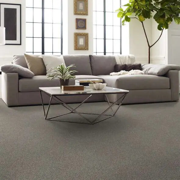 Caress - Angora Classic III - Carpet Shaw Floors