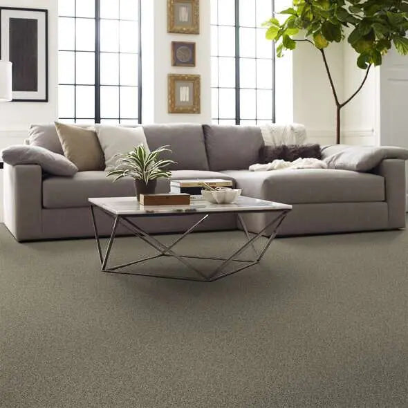 Caress - Angora Classic II - Carpet Shaw Floors
